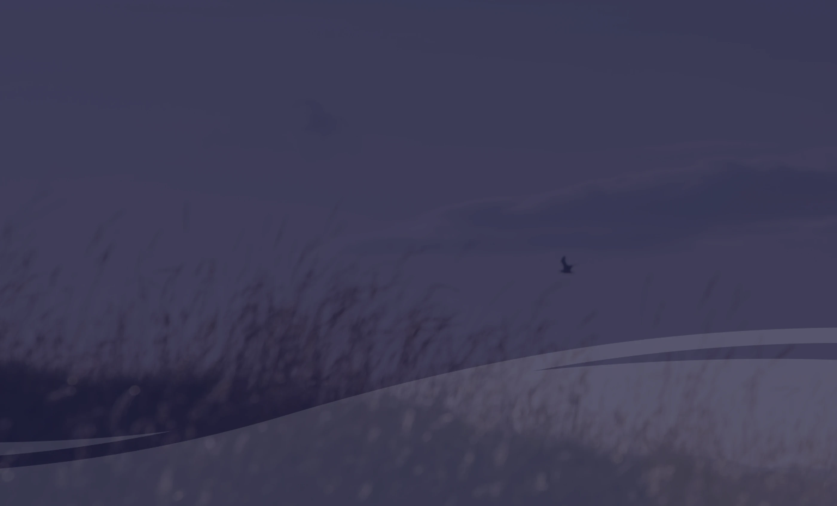 A golfer at the top of the backswing, ghosted into the navy field behind the introduction.